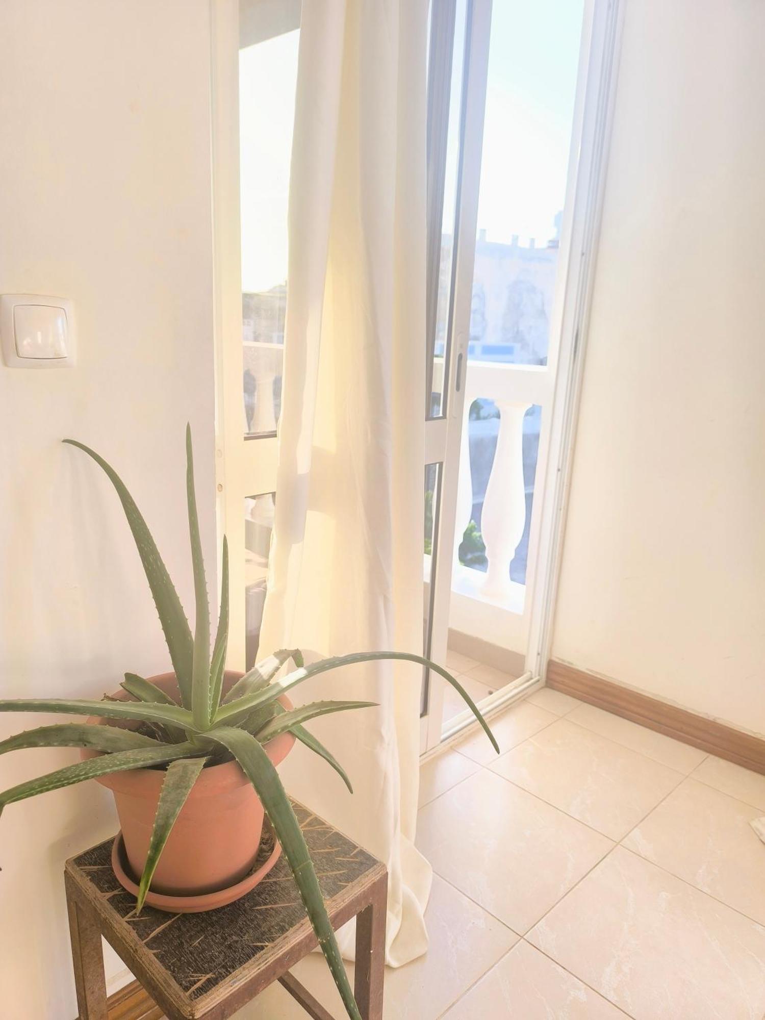 Casa Sofia Apartment Миндело Екстериор снимка